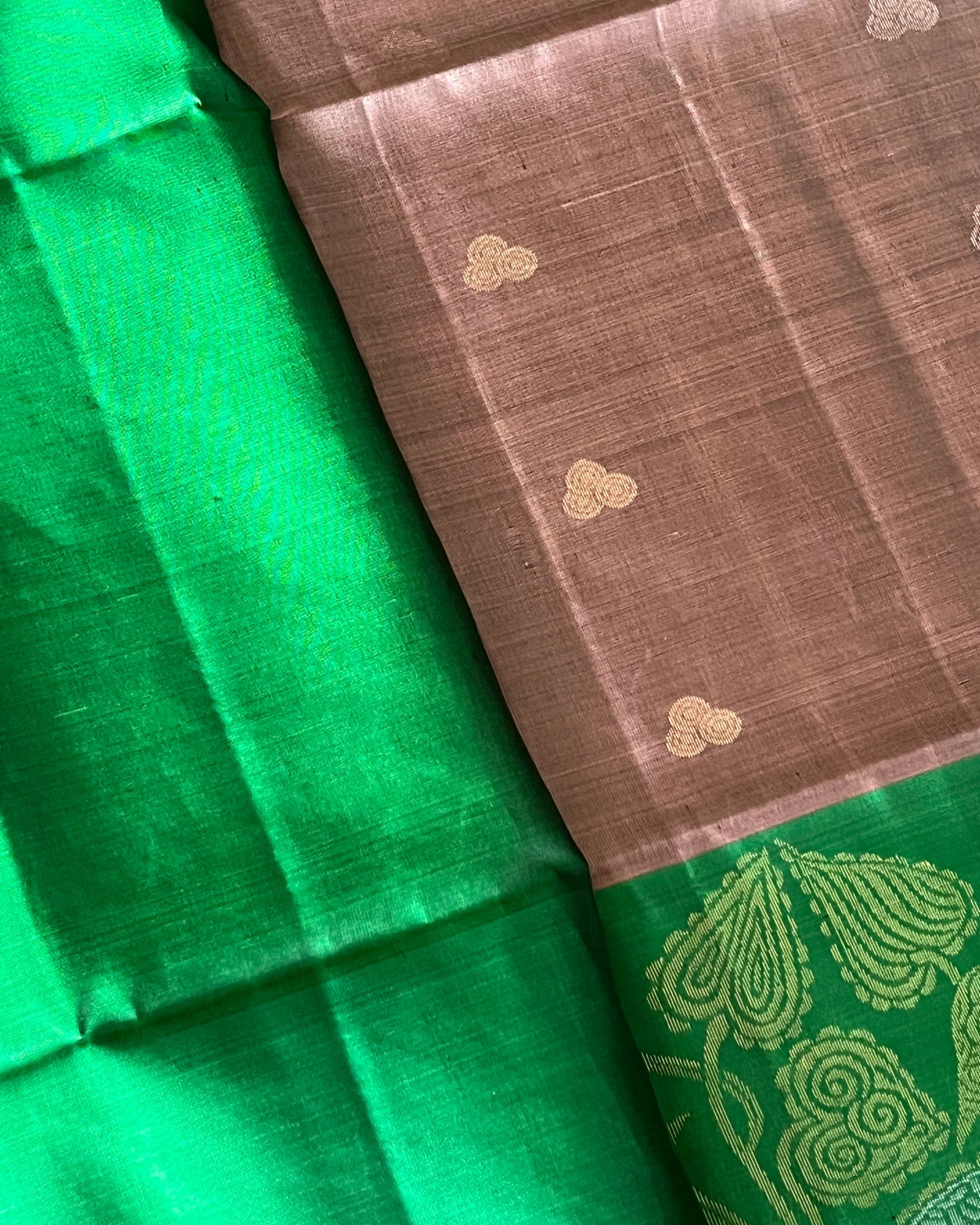 Folded Cocoa Canopy saree showing cocoa body and green blouse piece
