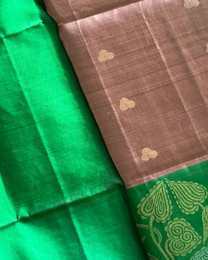 Folded Cocoa Canopy saree showing cocoa body and green blouse piece